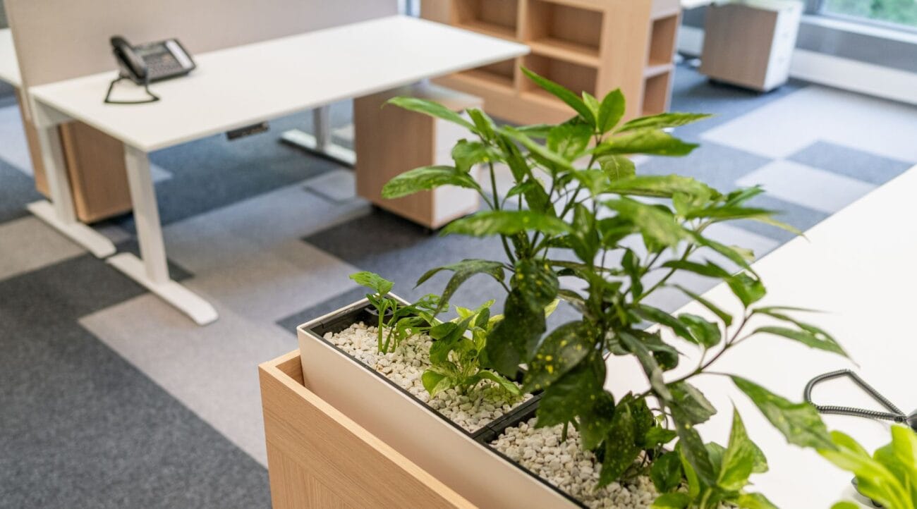 standard furniture - office interior